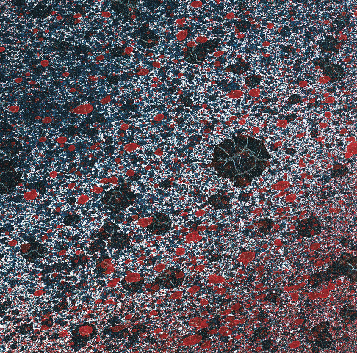 Leitmotiv Limbo - Superior State LP