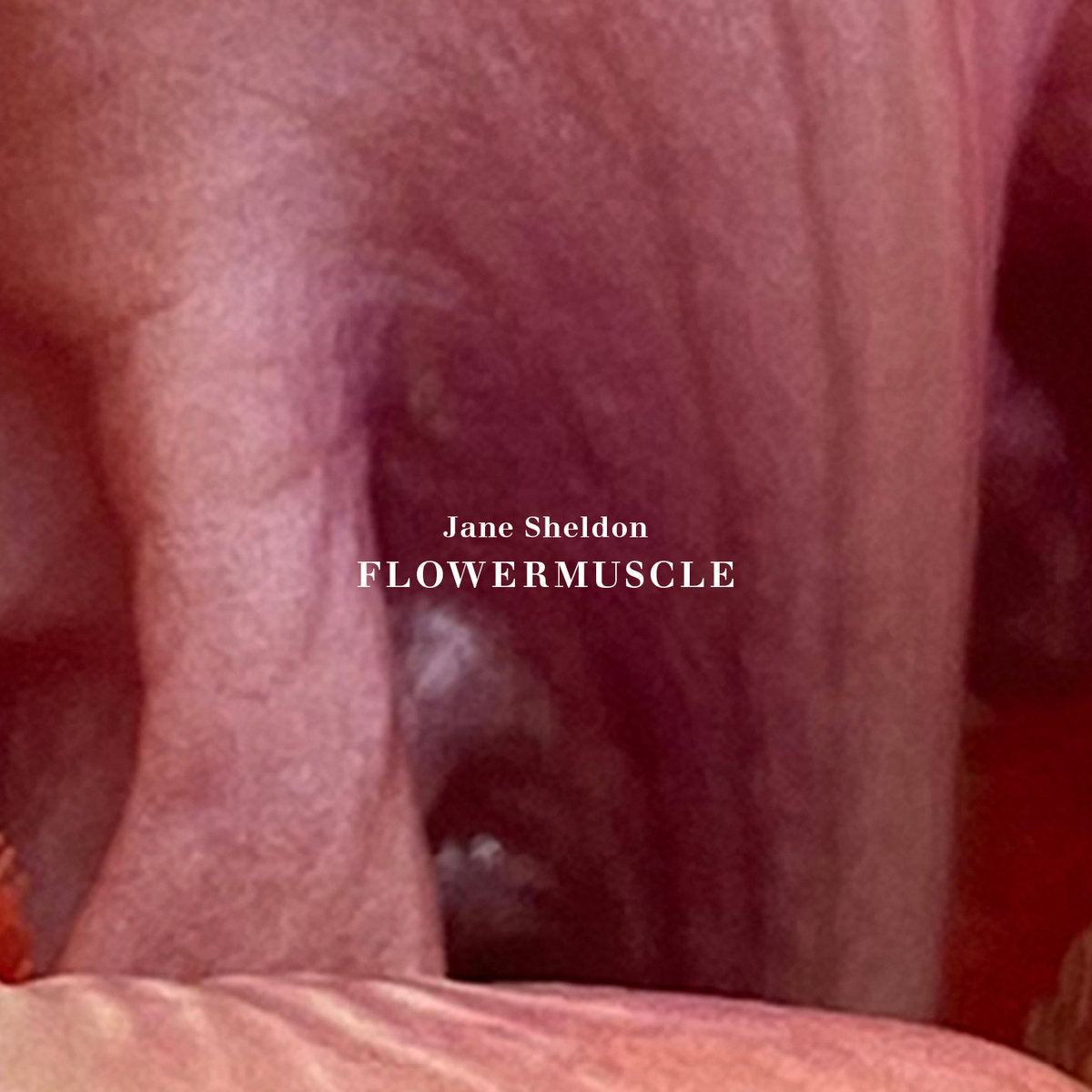Jane Sheldon - flowermuscle CD