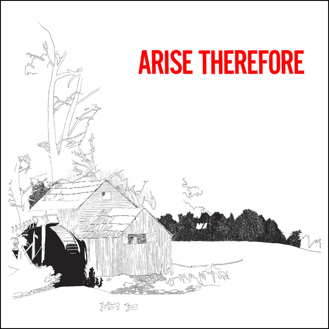 Bonnie "Prince" Billy - Arise Therefore LP