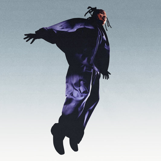 MAVI – The Pilot LP