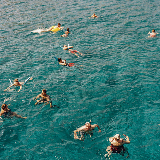 Casual Fan - I've Dreamt About These Days CS