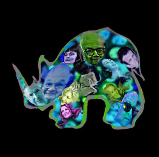 Phil Bennett's Pillbox - Bring Back The Mammoth CD