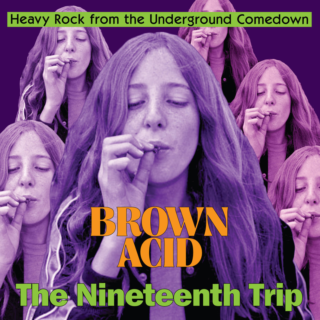 Various - Brown Acid - The Nineteenth Trip LP