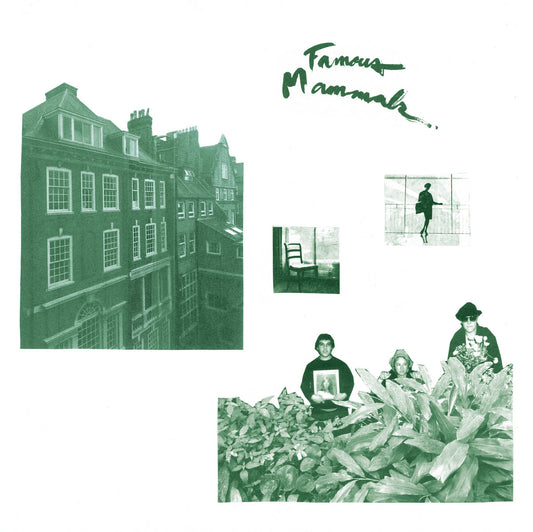 Famous Mammals - Famous Mammals LP