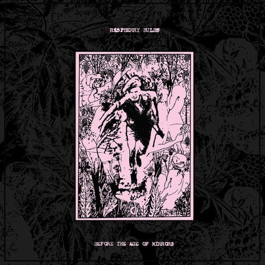 Raspberry Bulbs - Before The Age Of Mirrors CD