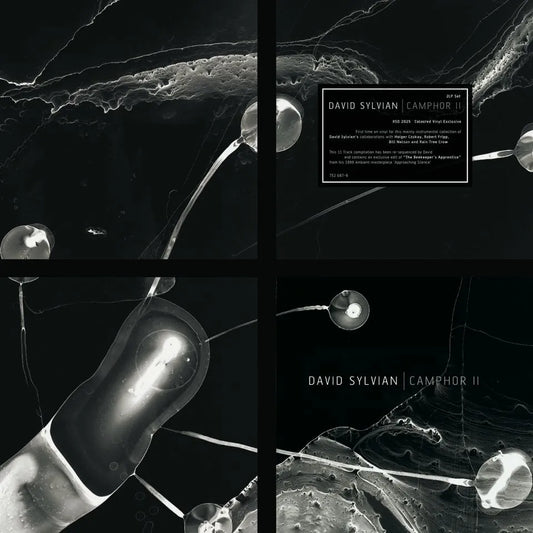 David Sylvian - Camphor II 2LP