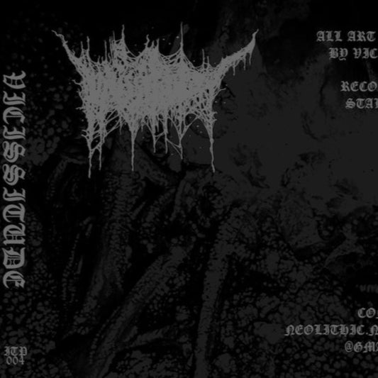 Vicissitude - Vicissitude CS