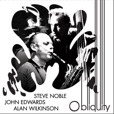 Steve Noble, John Edwards, Alan Wilkinson - Obliquity LP