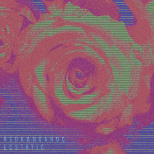 Red Kangaroo - Ecstatic CD-R