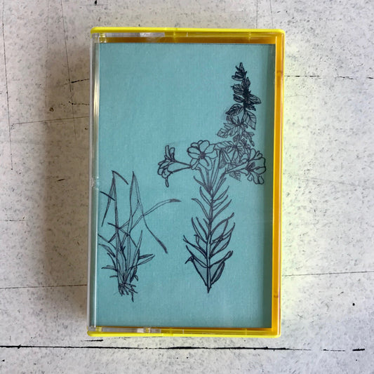 Verna Bloom - Demo CS (Green cover)