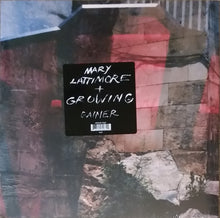 Load image into Gallery viewer, Mary Lattimore &amp; Growing - Gainer LP
