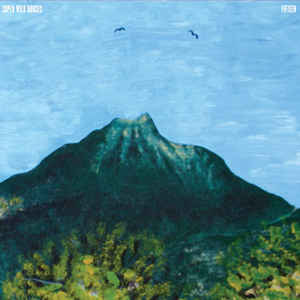 Super Wild Horses - Fifteen CD