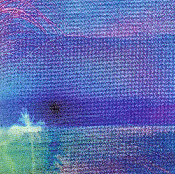 Flying Saucer Attack And Roy Montgomery - Goodbye LP