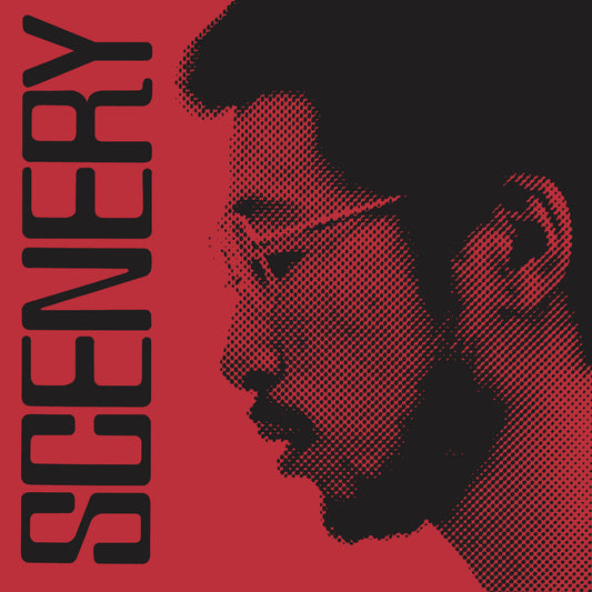 Ryo Fukui - Scenery LP