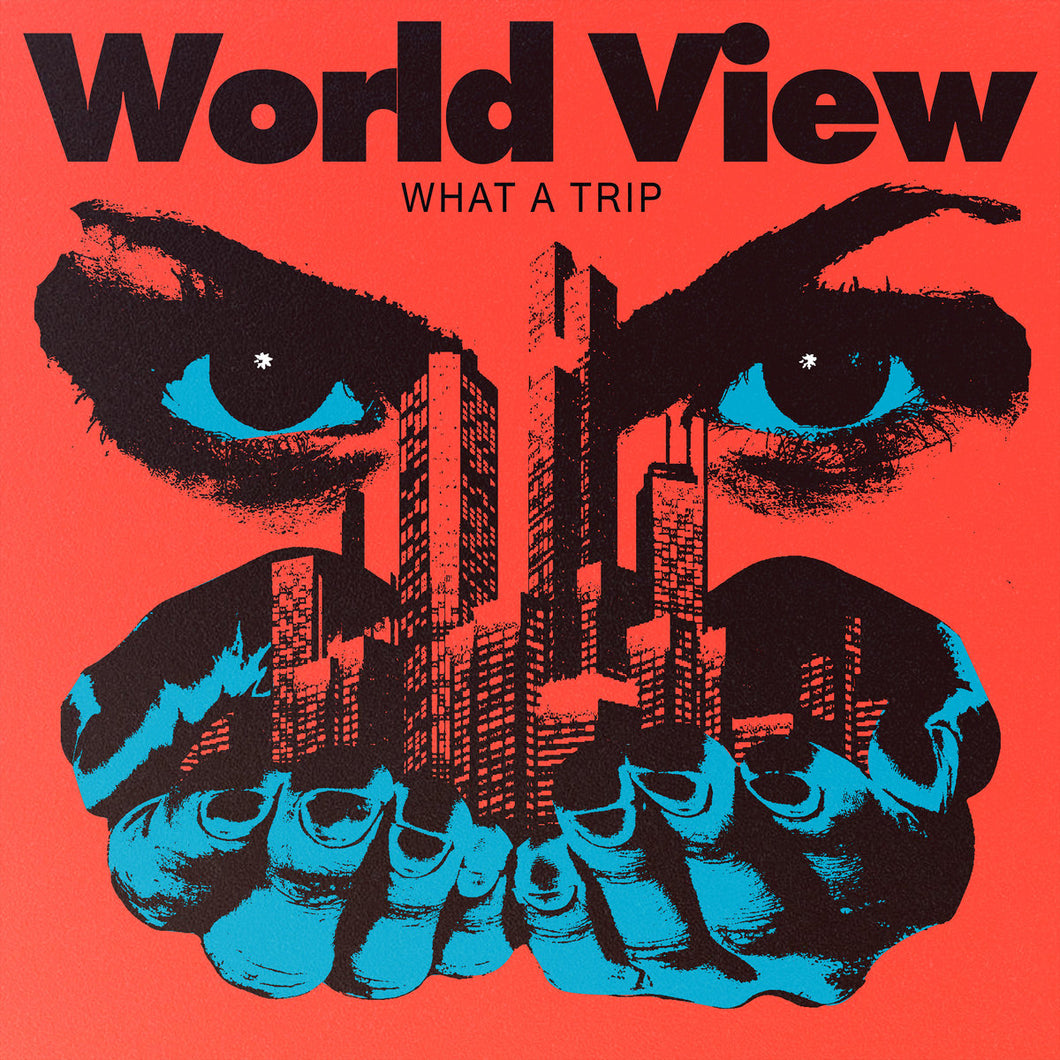 World View - What A Trip 12