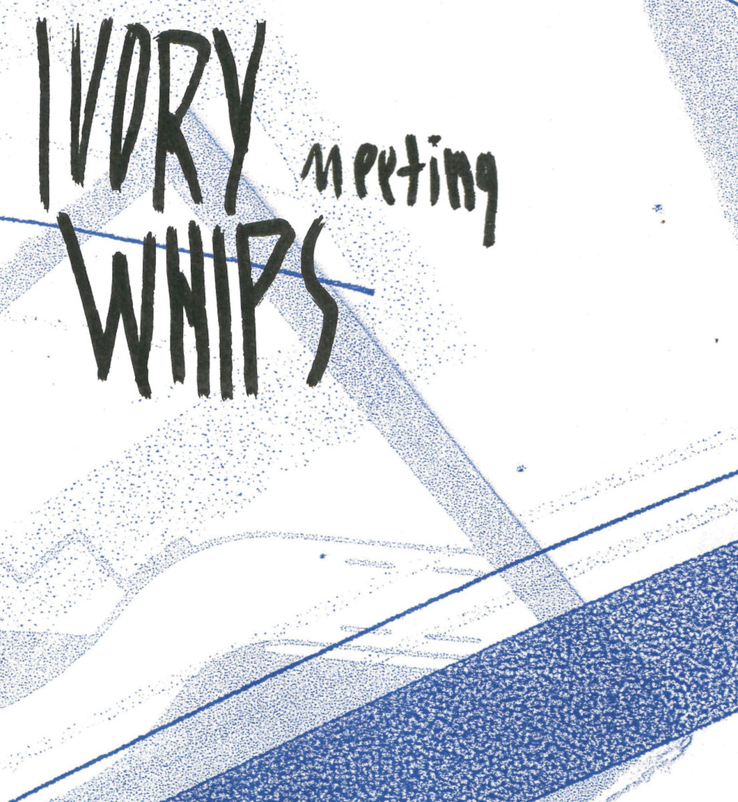 Ivory Whips - Meeting CS