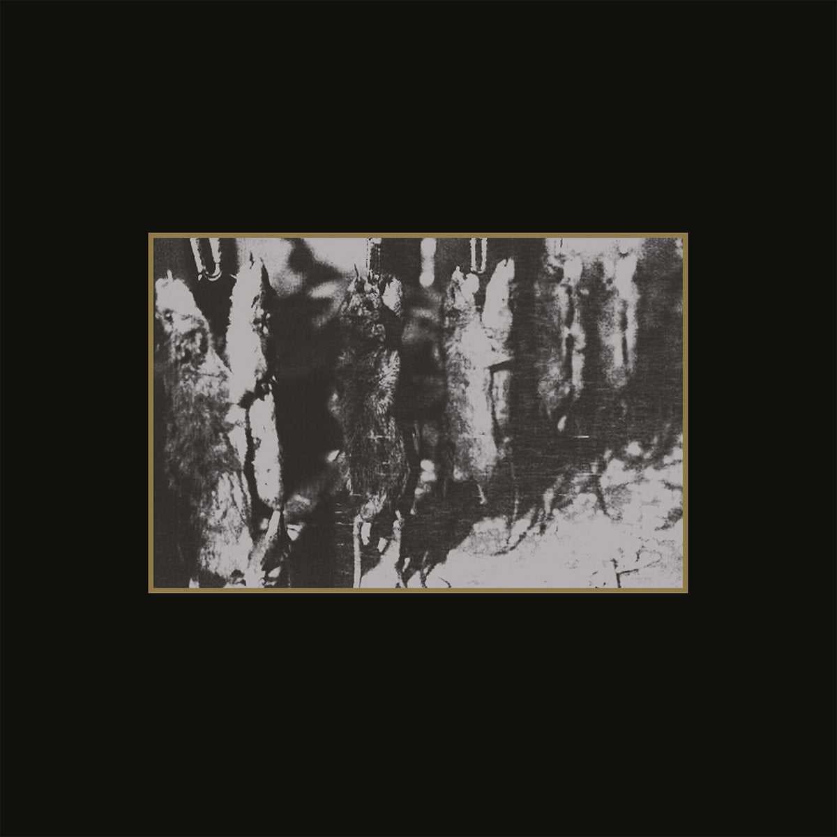 Various -  Ancient Meat Revived: A Tribute To Cold Meat Industry CD