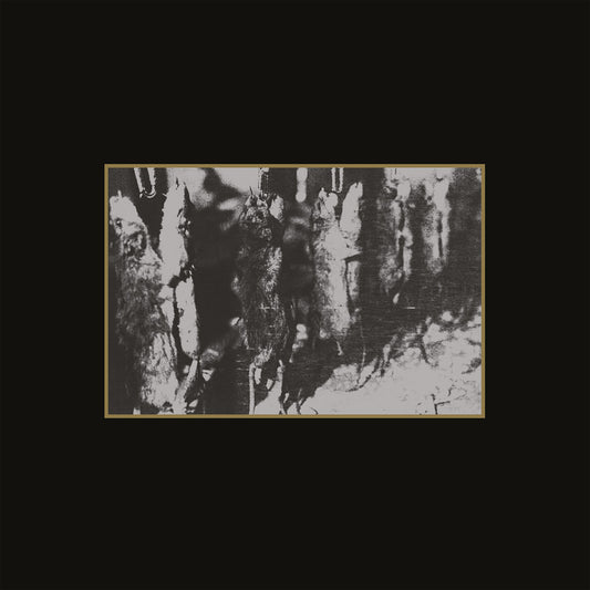 Various -  Ancient Meat Revived: A Tribute To Cold Meat Industry CD