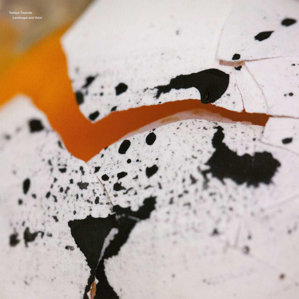 Toshiya Tsunoda - Landscape and Voice LP