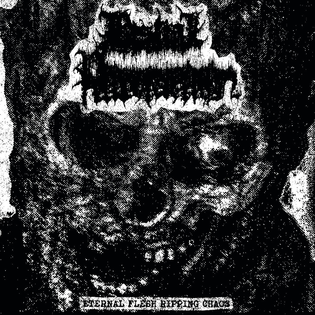 Bestial Putrefaction - Eternal Flesh Ripping Chaos LP
