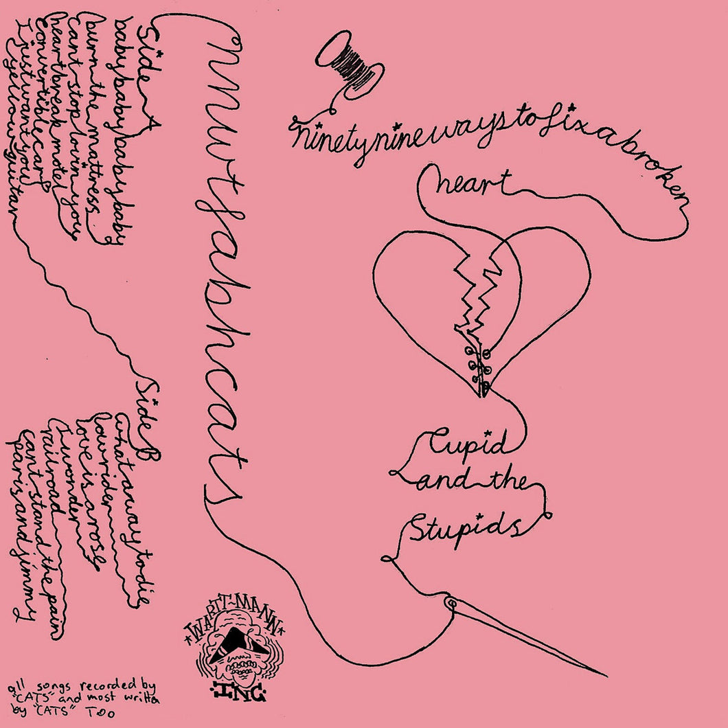 Cupid And The Stupids - 99 Ways To Fix A Broken Heart CS