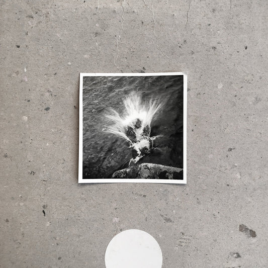 Nils Frahm - Empty LP