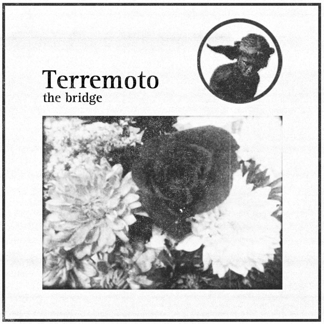 Terremoto - The Bridge 12