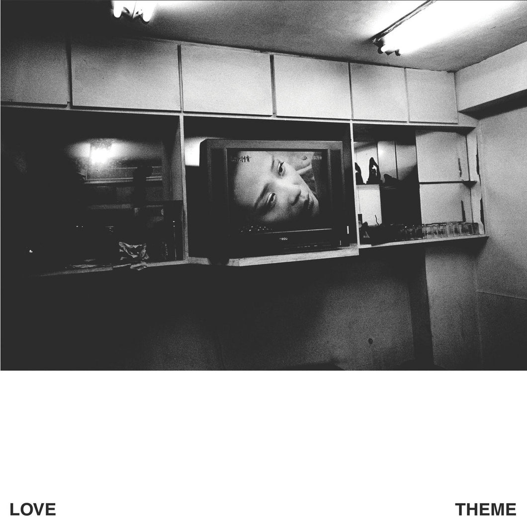 Love Theme - Love Theme LP
