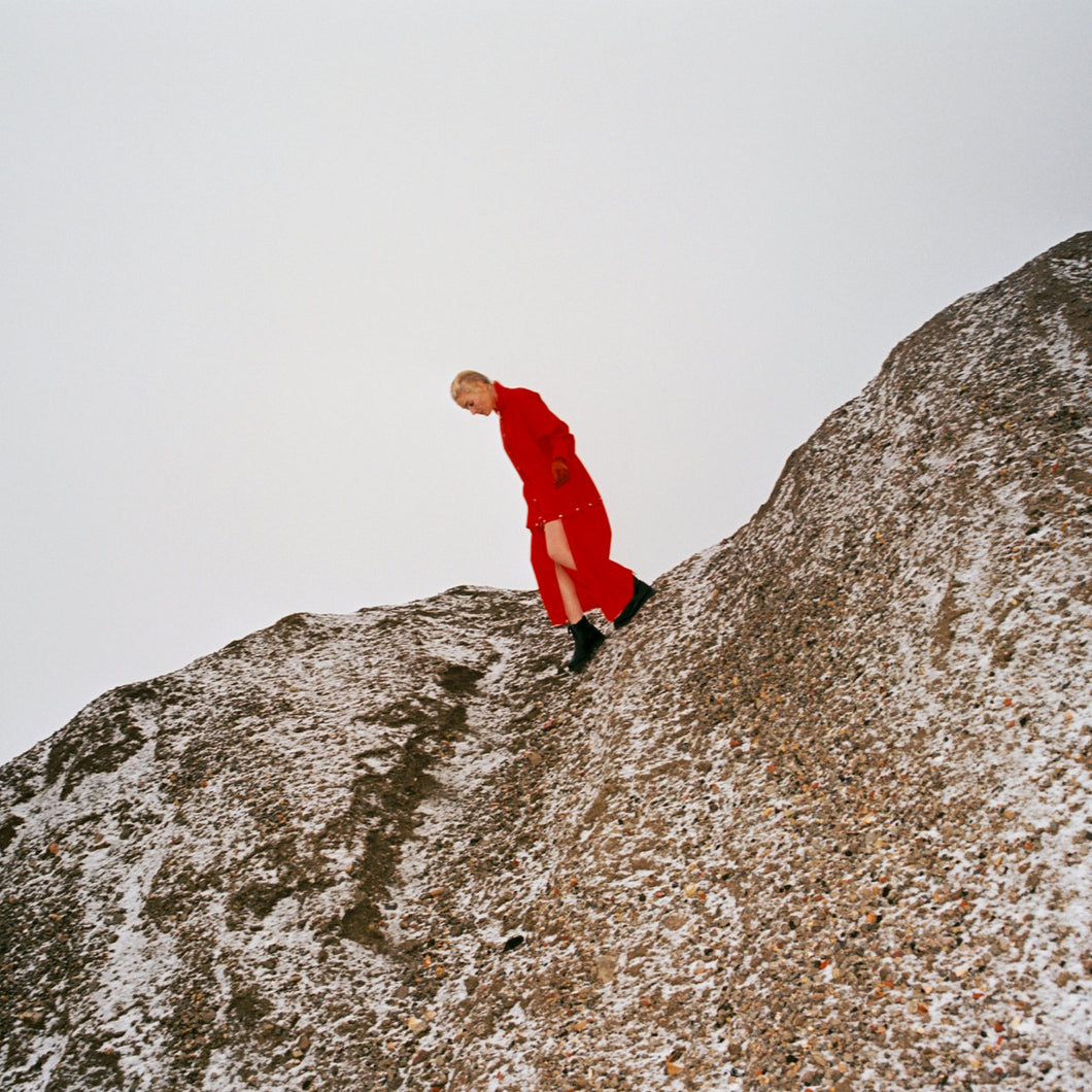 Cate Le Bon - Reward LP