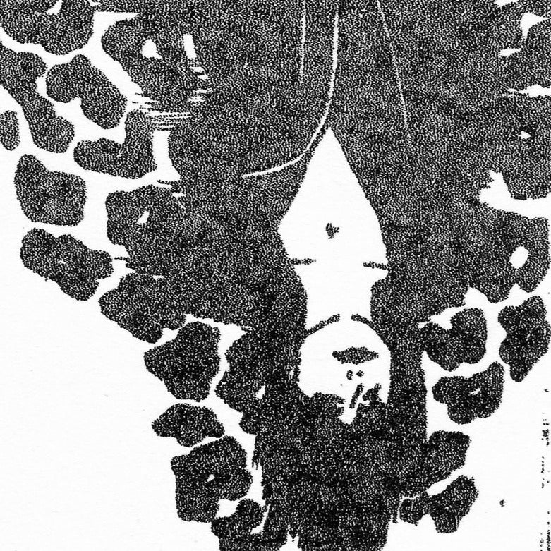 Hessel Veldman & Nick Nicole - The S.M. Tape CS