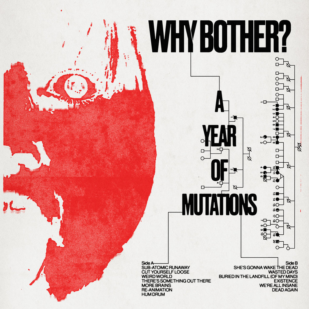 Why Bother - A Year of Mutations LP