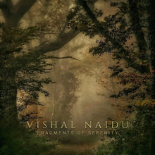 Load image into Gallery viewer, Vishal Naidu - Fragments Of Serenity CS

