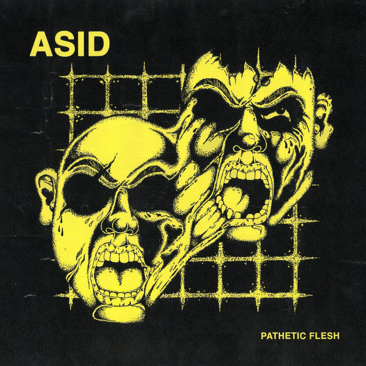 Asid - Pathetic Flesh LP