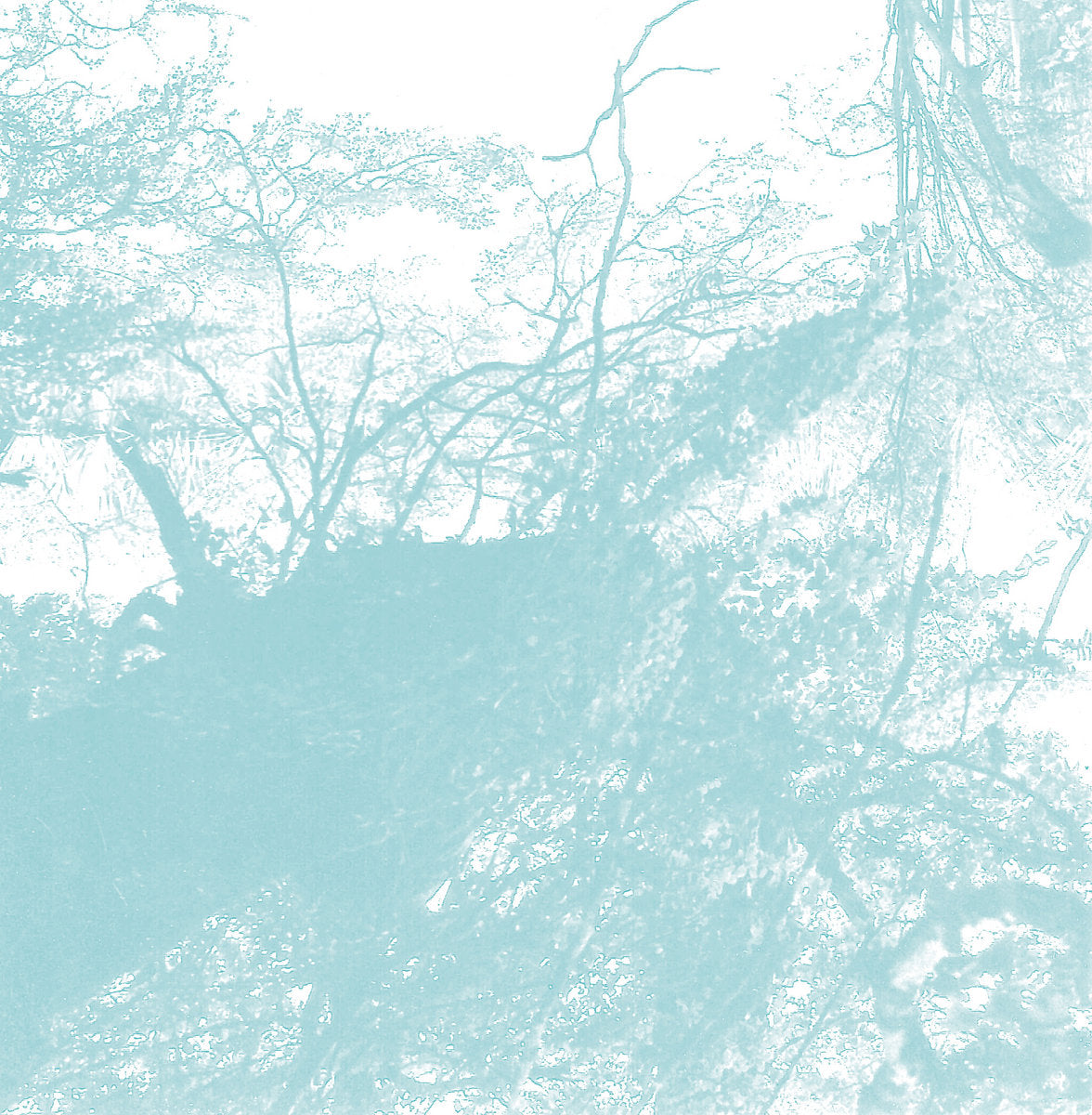 Bluetung - Music for Our Dying Earth LP