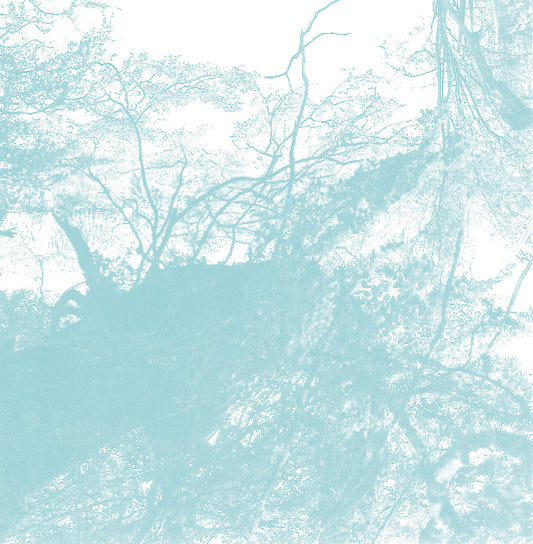 Bluetung - Music for Our Dying Earth LP