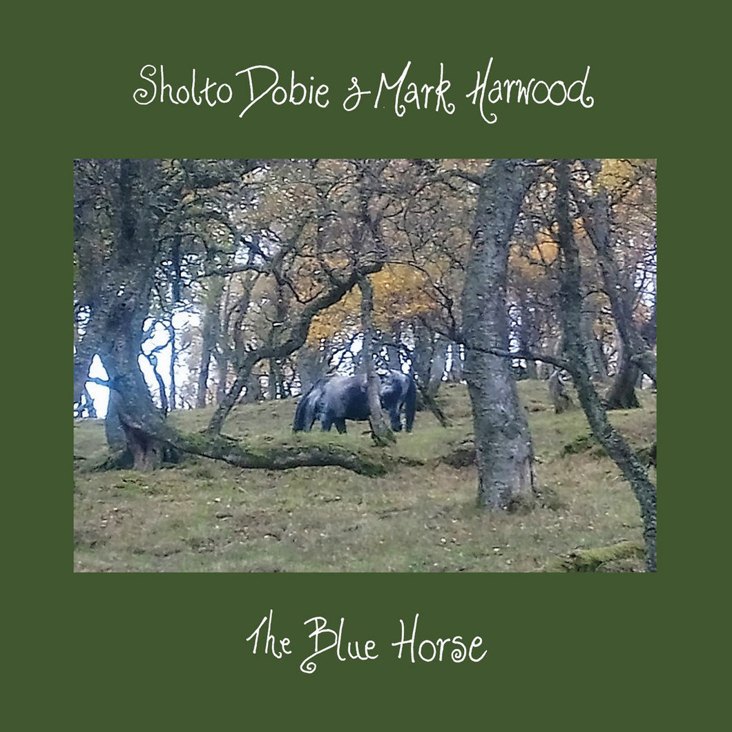 Sholto Dobie & Mark Harwood - The Blue Horse CD
