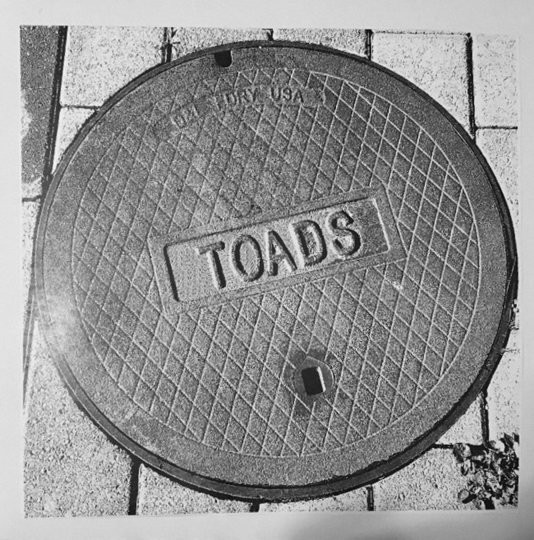 Toads - Toads LP