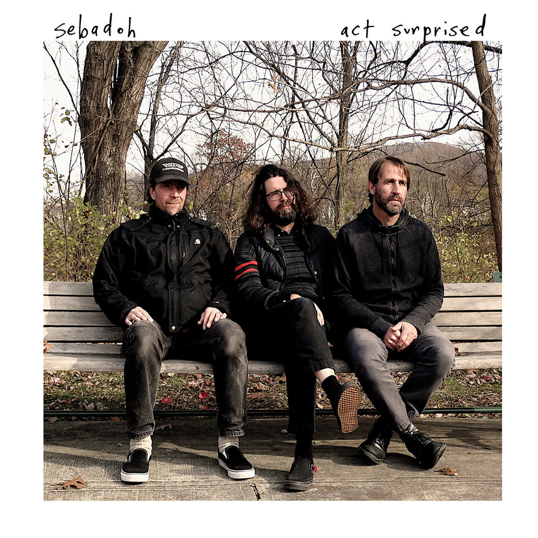 Sebadoh - Act Surprised LP