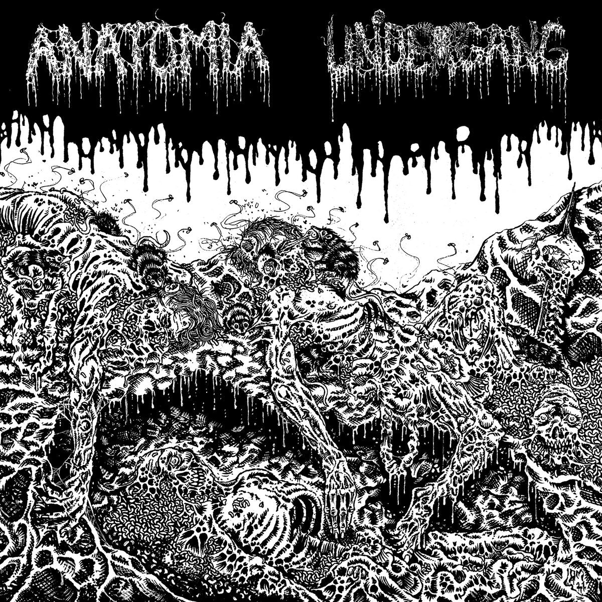 Anatomia / Undergang - SPlit LP