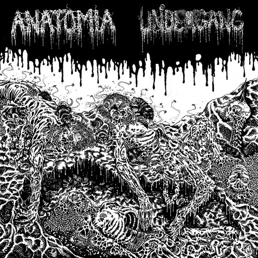 Anatomia / Undergang - SPlit LP