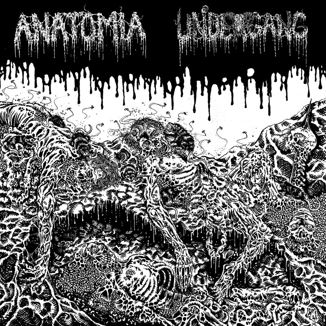 Anatomia / Undergang - SPlit LP