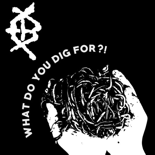 Endless Bore- What Do You Dig For?! CD-R