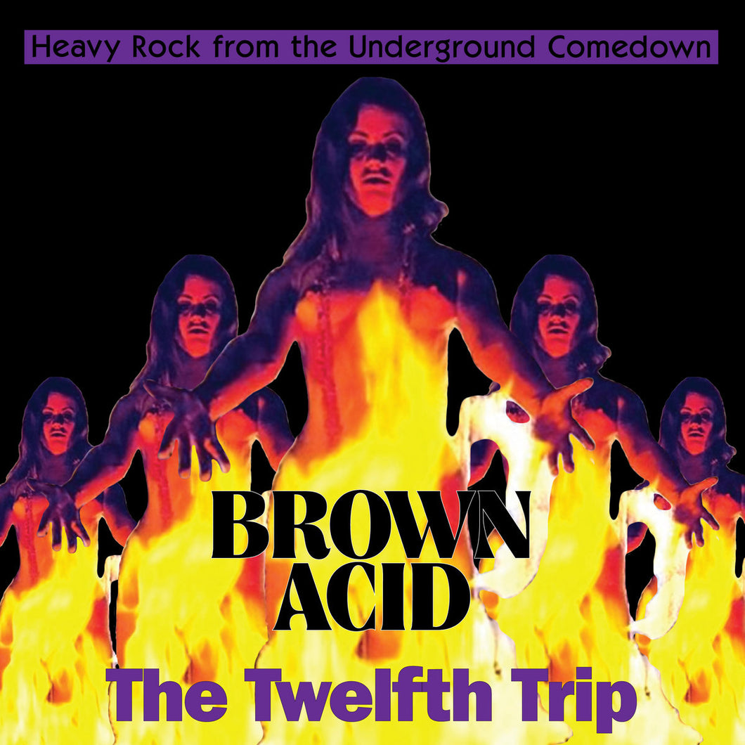 Various - Brown Acid - The Twelfth Trip LP