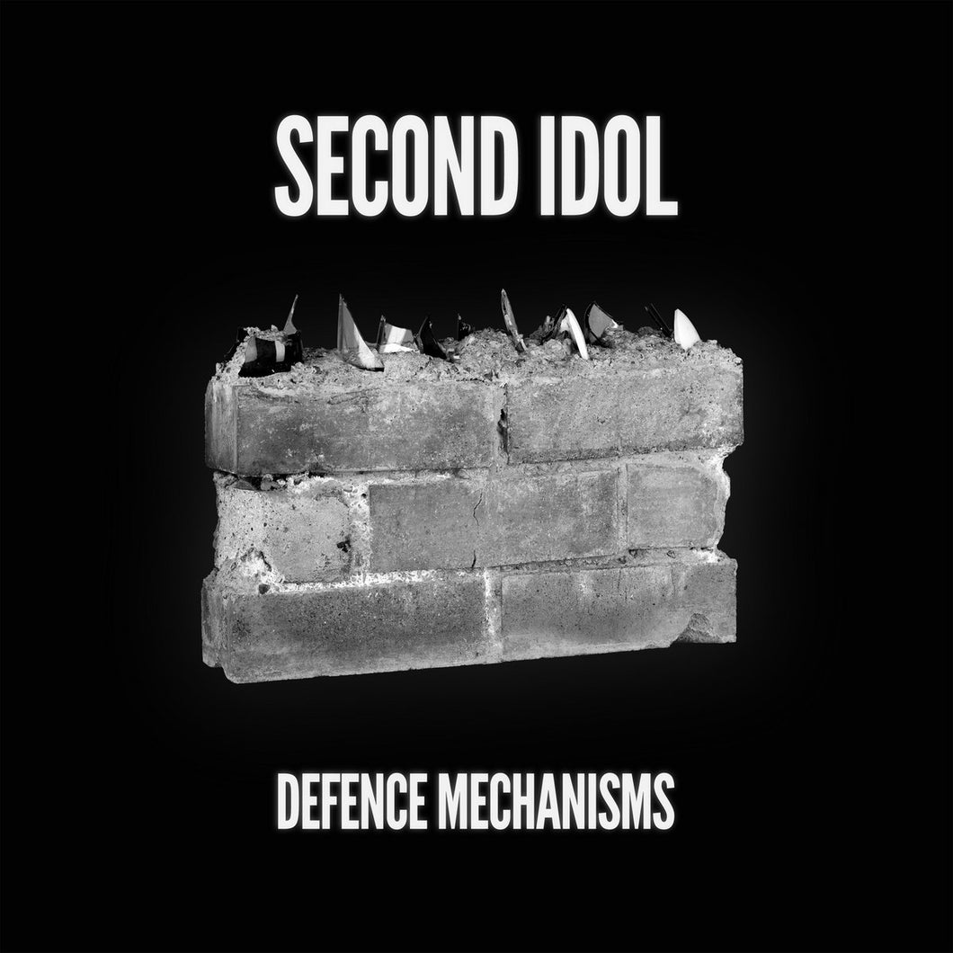 Second Idol - Defence Mechanisms 10