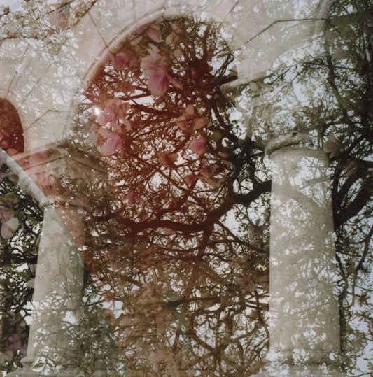 Mary Lattimore & Growing - Gainer LP
