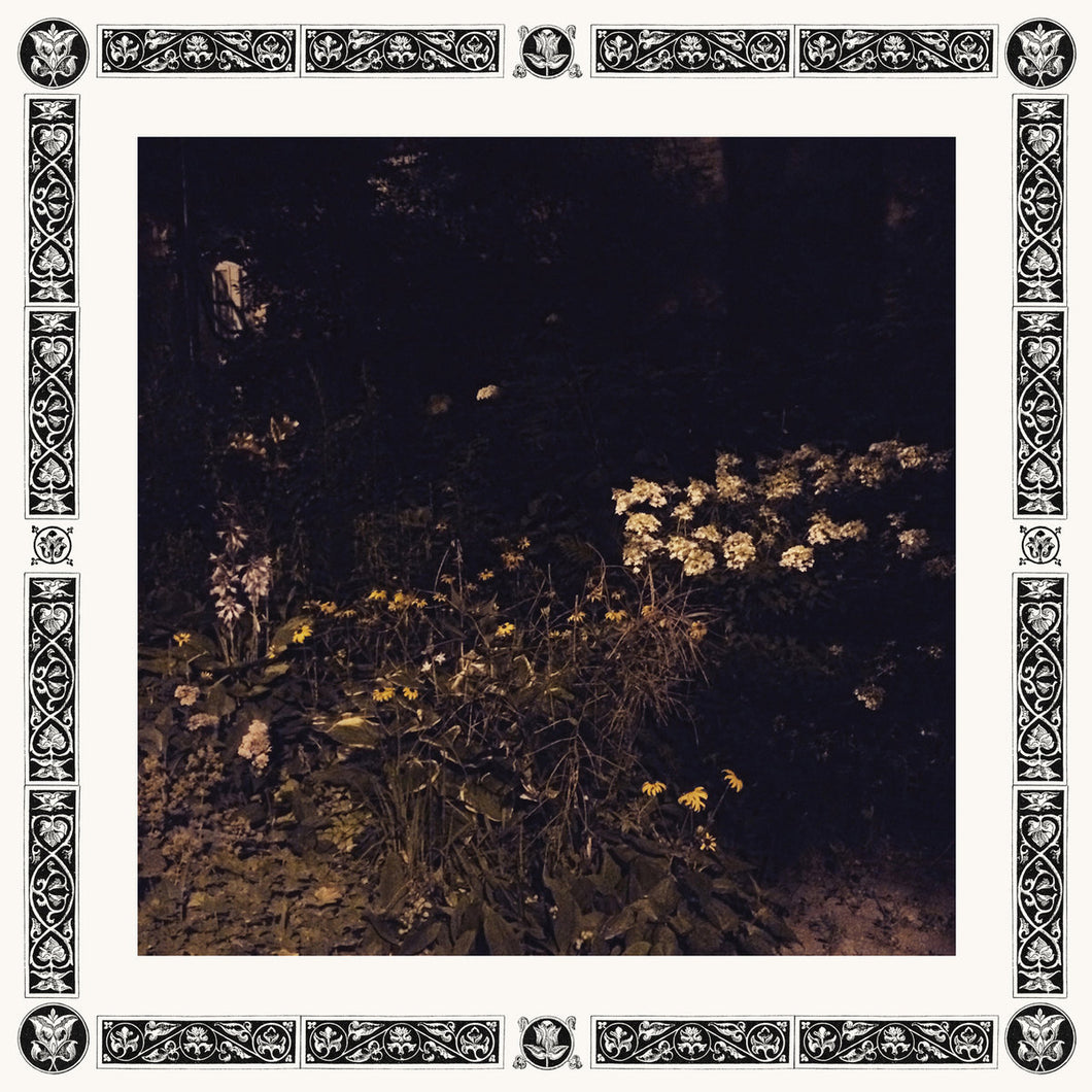 Sarah Davachi - Pale Bloom LP