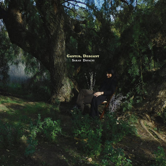 Sarah Davachi - Cantus, Descant 2LP