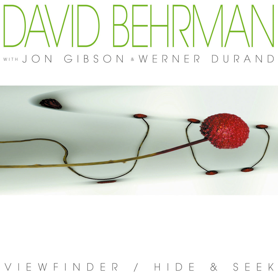 David Behrman - ViewFinder / Hide & Seek LP