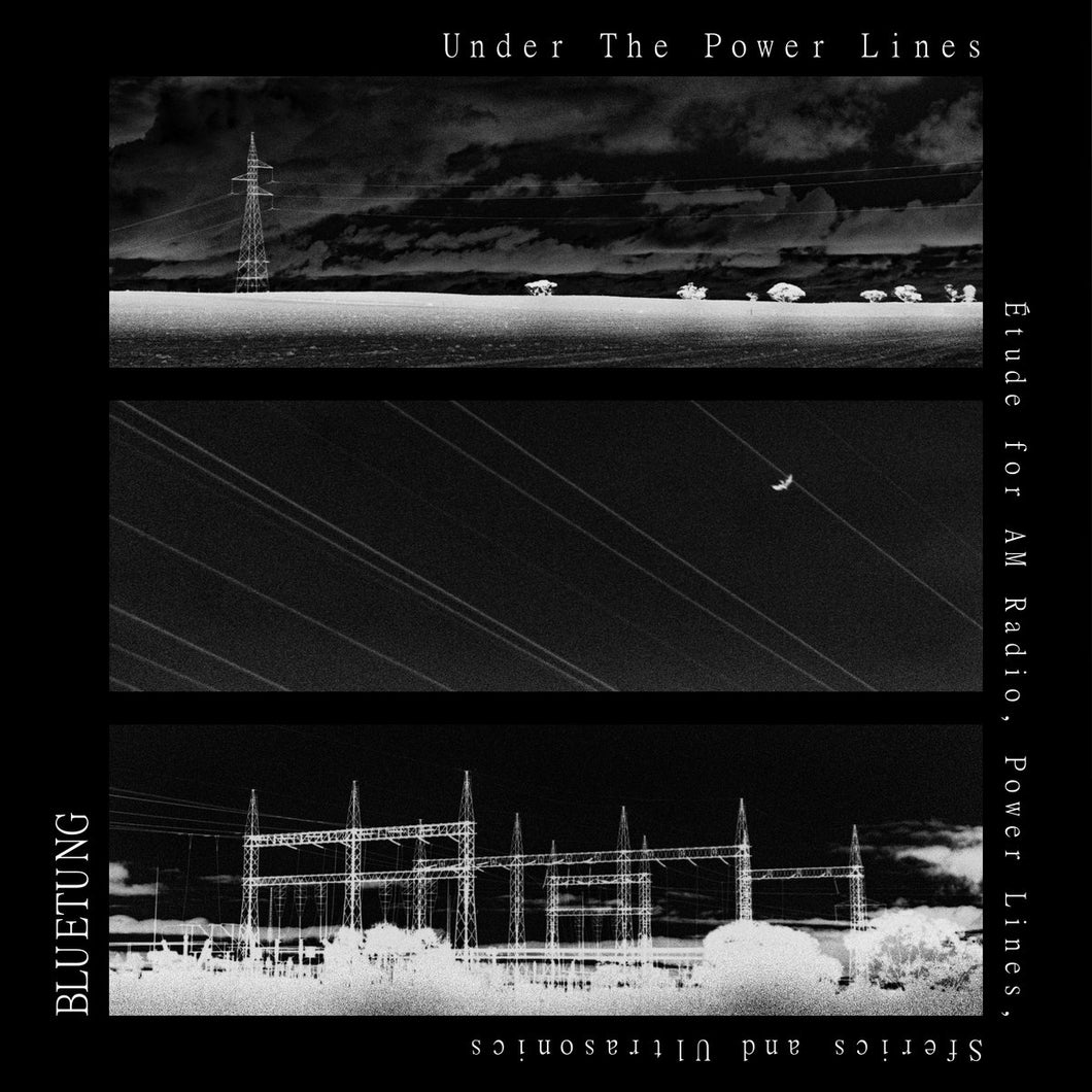 Bluetung - Under The Power Lines CD + Zine