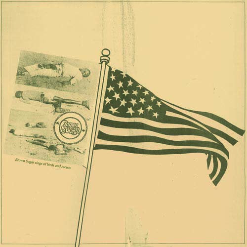 Brown Sugar - Sings of Birds and Racism LP
